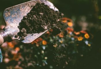 Đơn Giản Hóa Câu Chuyện Dữ Liệu Cùng Giáo Trình Sử Dụng Minitab