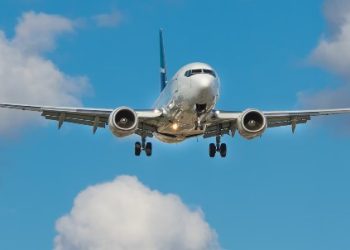 Cách sử dụng Minitab để phân tích dữ liệu hiệu quả: Chứng minh và nâng cao độ tin cậy trước va chạm với chim