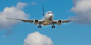 Cách sử dụng Minitab để phân tích dữ liệu hiệu quả: Chứng minh và nâng cao độ tin cậy trước va chạm với chim